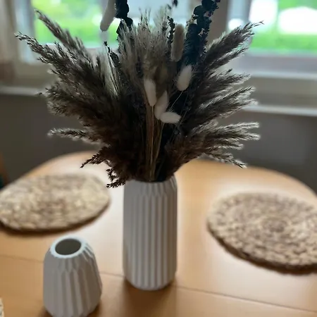 Datsche Im Gruenen Schwielochsee